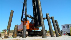 grue pieux 2